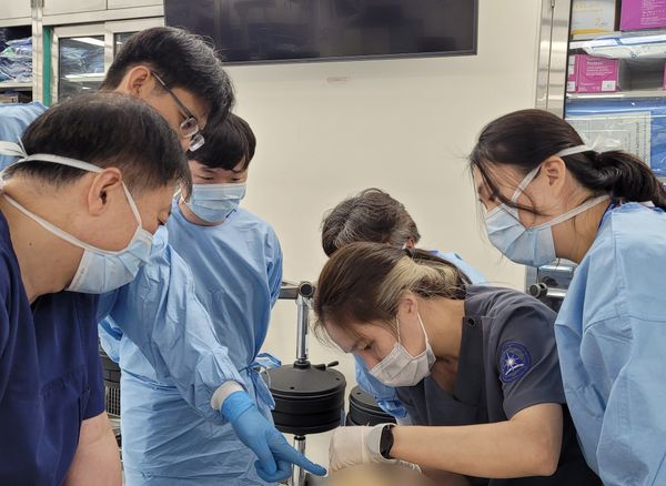 해부학 교수